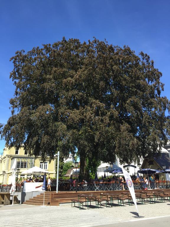 Rhein Melodie Riverview Luxury Konstanz Phòng bức ảnh